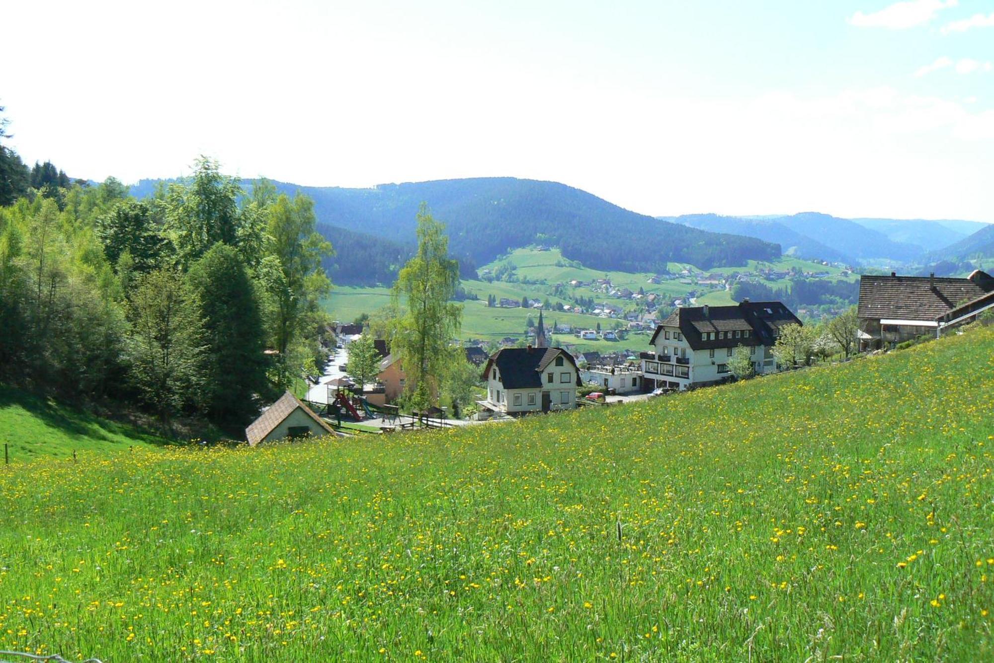 Pension Talblick Baiersbronn Exterior photo