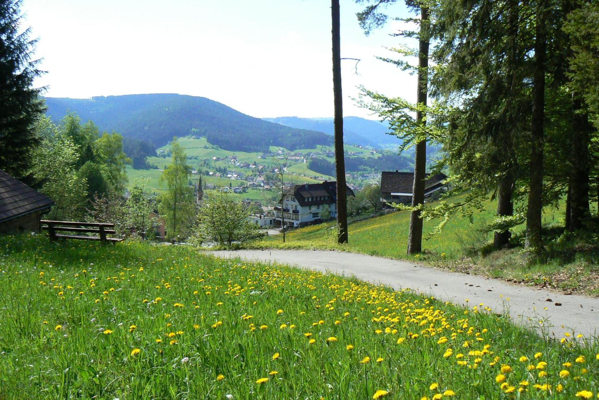 Pension Talblick Baiersbronn Exterior photo