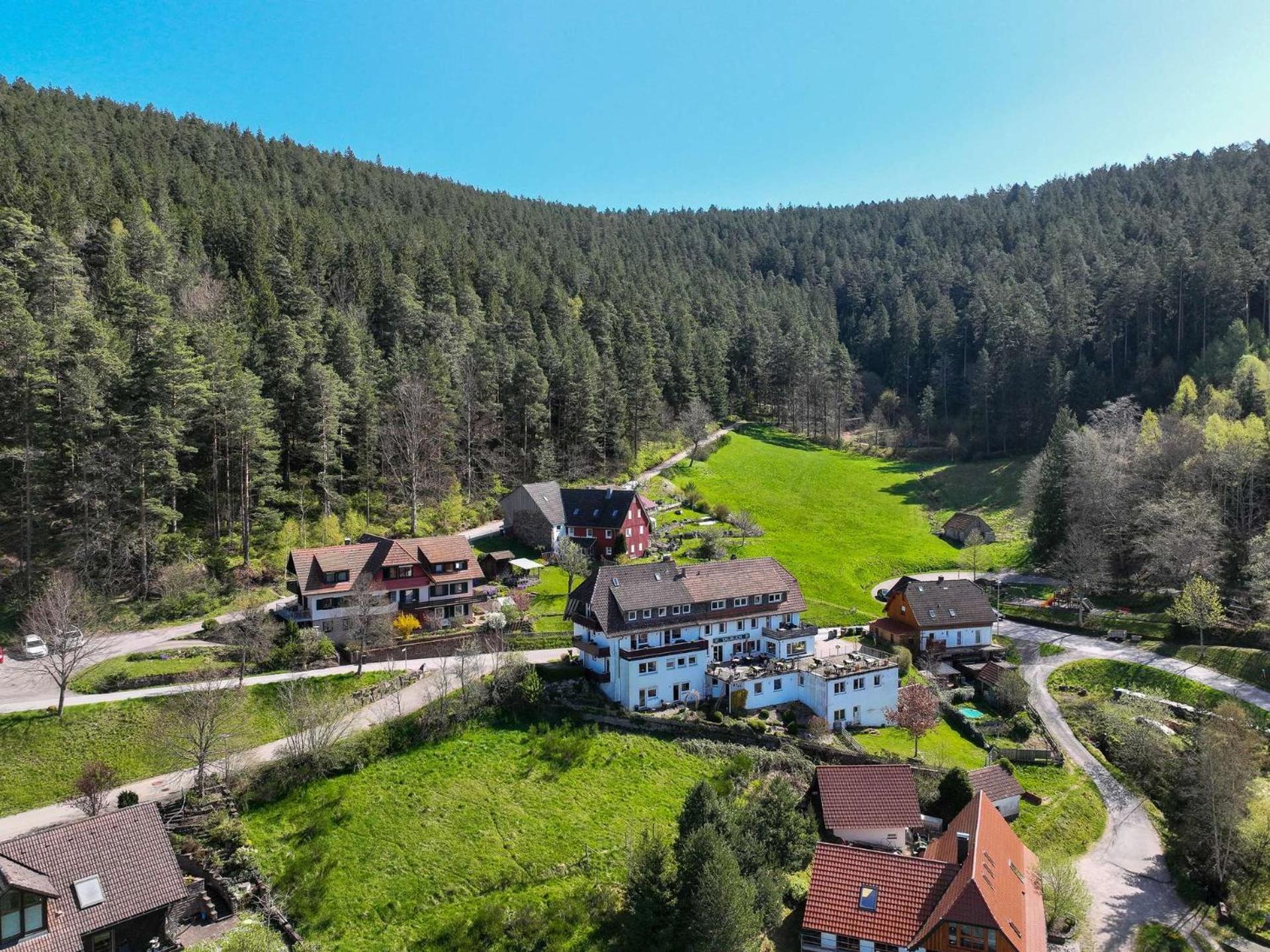 Pension Talblick Baiersbronn Exterior photo